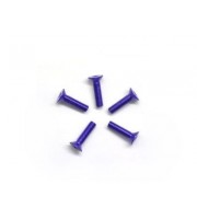 Arrowmax aluminum 3 x 10 screw allen countersunk  Purple 7075 (5pcs)